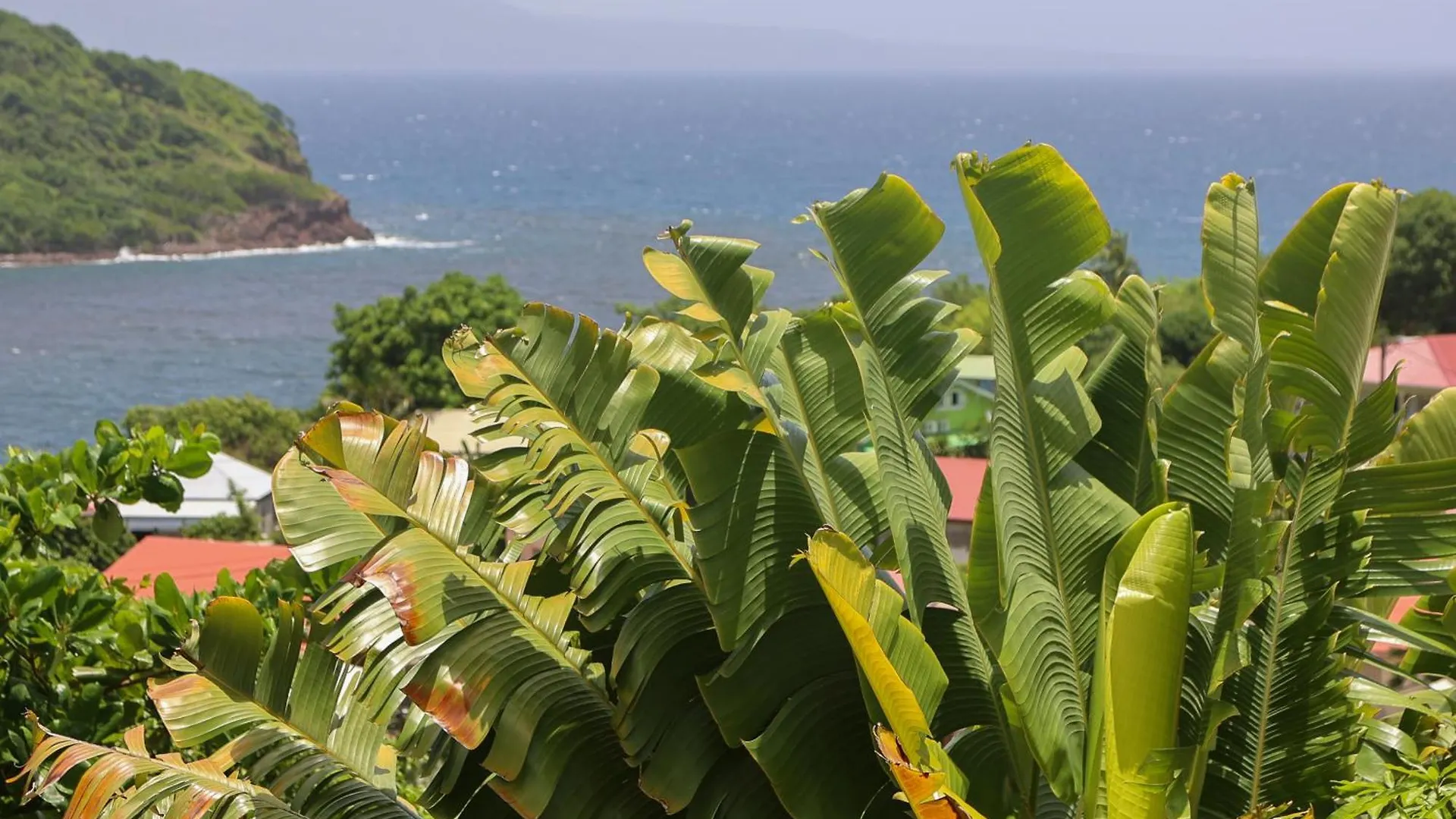 Feriehus Cottages Les 3 Rochers - Vue Sur Mer Terre-de-Bas Guadeloupe